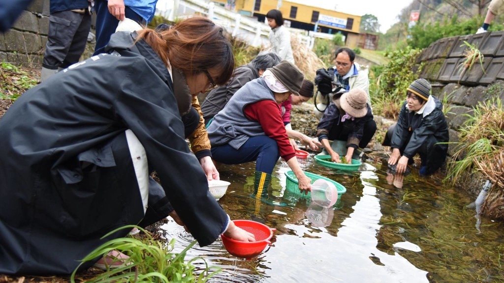 奄美国直集落の体験ツアー：アオサを洗う