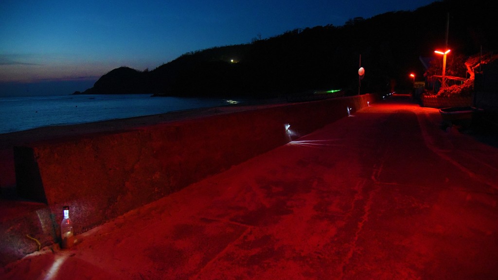 大和村の赤い街灯が光るスモモロード（国直海岸）