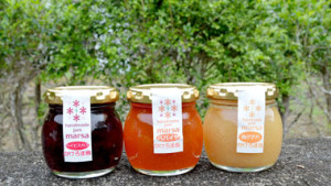 加計呂麻島の恵みをそのまま！無添加手作りジャム　marsa　マーサ