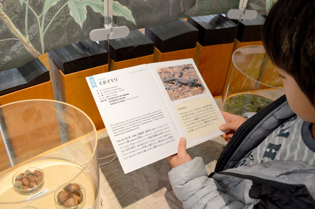 環境省奄美野生生物保護センターの資料を読む子供
