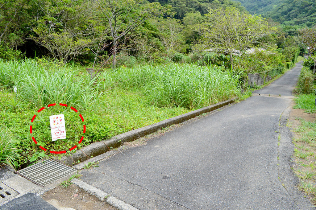 加計呂麻島道沿いのmarsaの看板