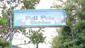 南国の植物と美しい蝶との出会い「ビッグⅡ　フルフラガーデン」