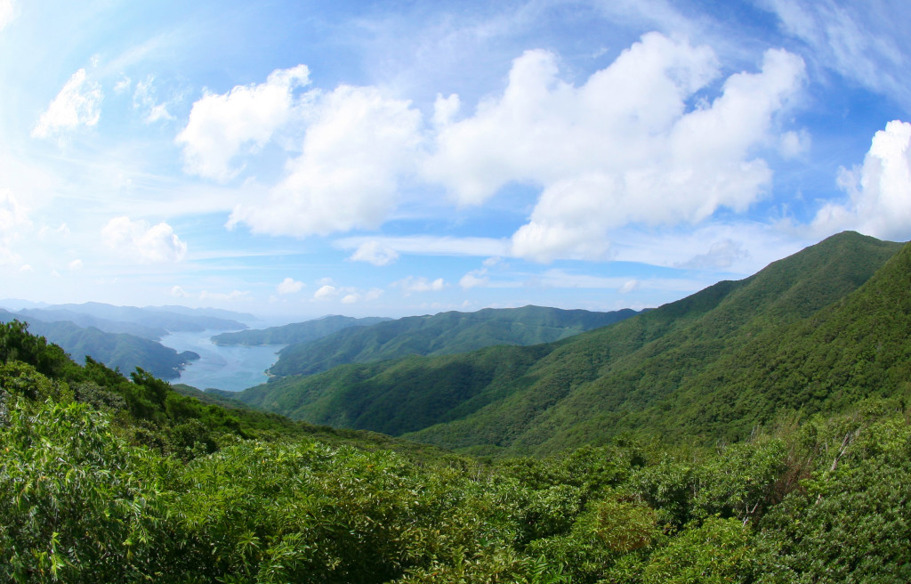 奄美最高峰の湯湾岳