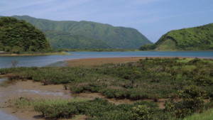 フォトウォークで出会った、山のサンセット【奄美市住用町内海】