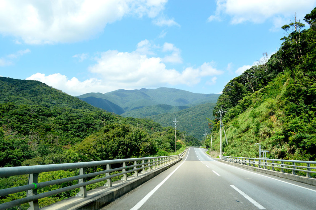 山に囲まれた宇検村の道路