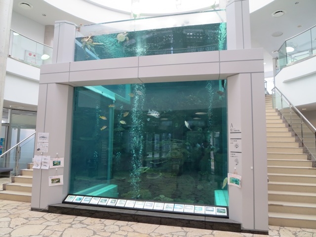 熱帯魚やウミガメの飼育展示をしている大型水槽（奄美海洋展示館）