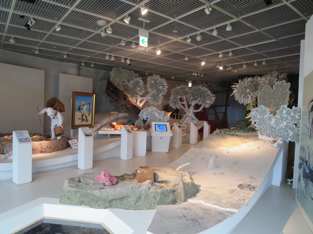 奄美海洋展示館の２階展示室
