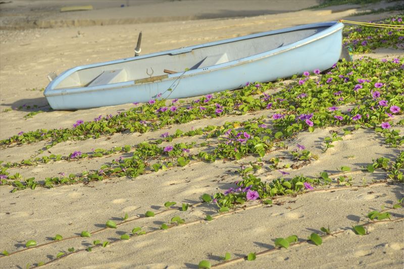 奄美の用安海岸の砂浜とボート