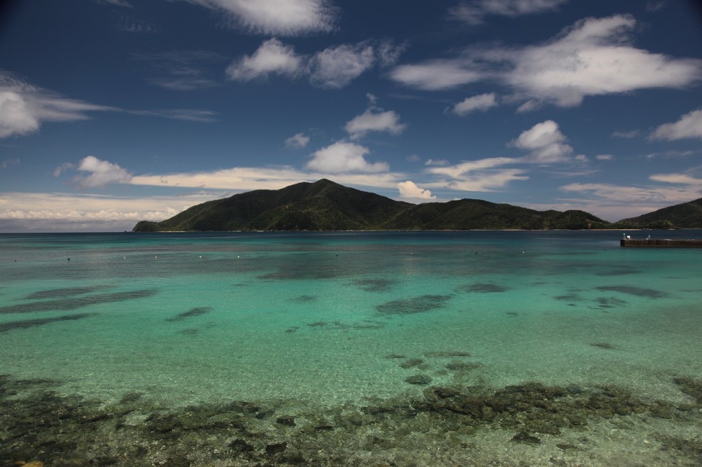枝手久島と透明度の高い海