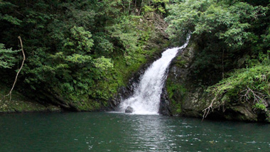 旅人を癒す、すがすがしい聖地・マテリヤの滝の物語（奄美大島大和村）