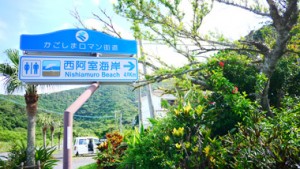 加計呂麻島の歴史とともに集落を見守る立神に沈む夕陽「西阿室」