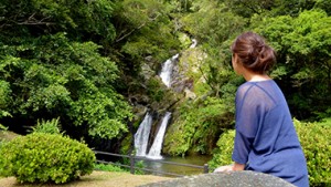 豊かな水量と静けさに心癒される、宇検村の癒しスポット「アランガチの滝」