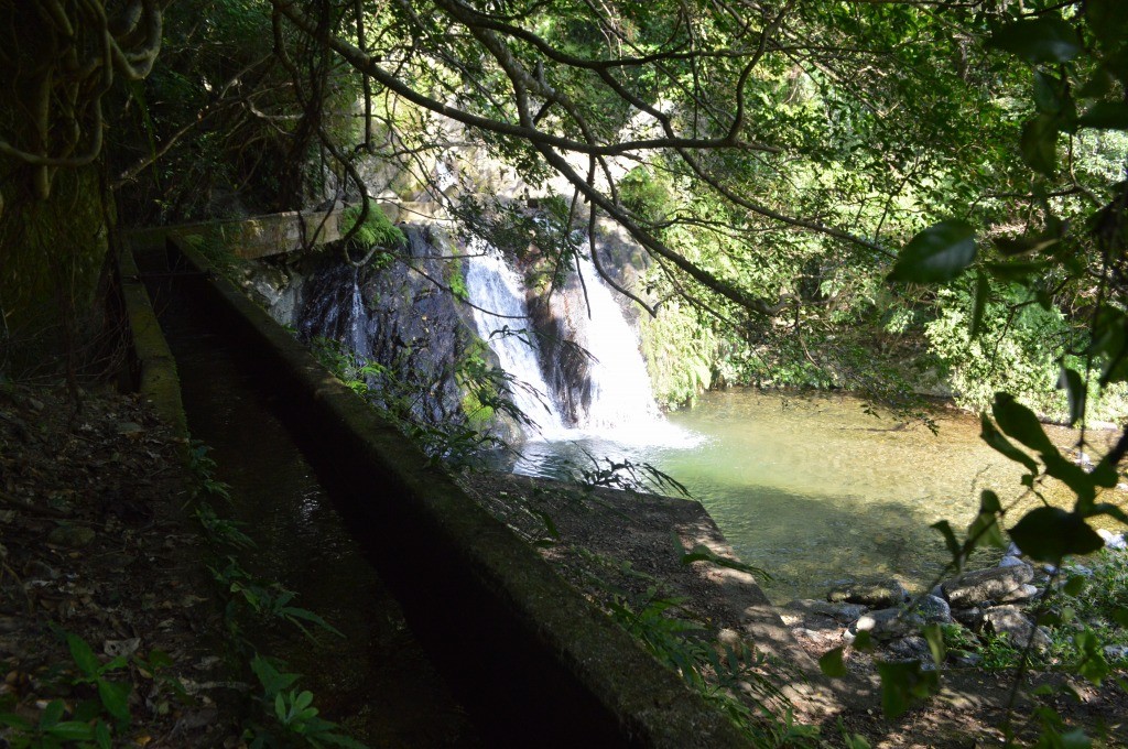 宇検村湯湾：アランガチの滝の木陰
