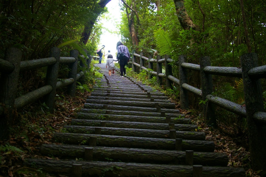 瀬戸内町高知山展望台の階段