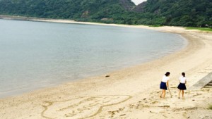 でいご並木と浜辺に降り注ぐやわらかな夕暮れの光「加計呂麻島諸鈍集落」