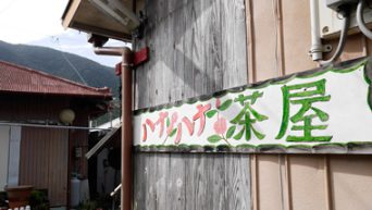 【奄美市住用町】奄美大島へUターンした店主と猫の醸し出す空気に癒される「ハナハナ茶屋」