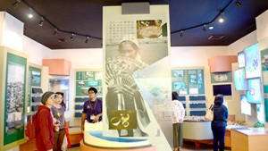 ノロの祭祀道具と海底遺跡資料を展示　知られざる宇検村の観光スポット「元気のでる館」