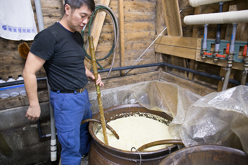 黒糖焼酎の製造作業