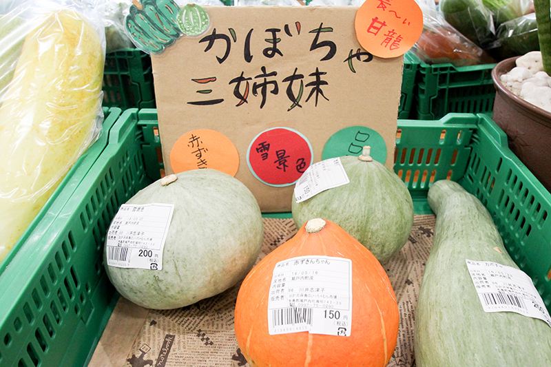 加計呂麻島で採れた3種のかぼちゃ