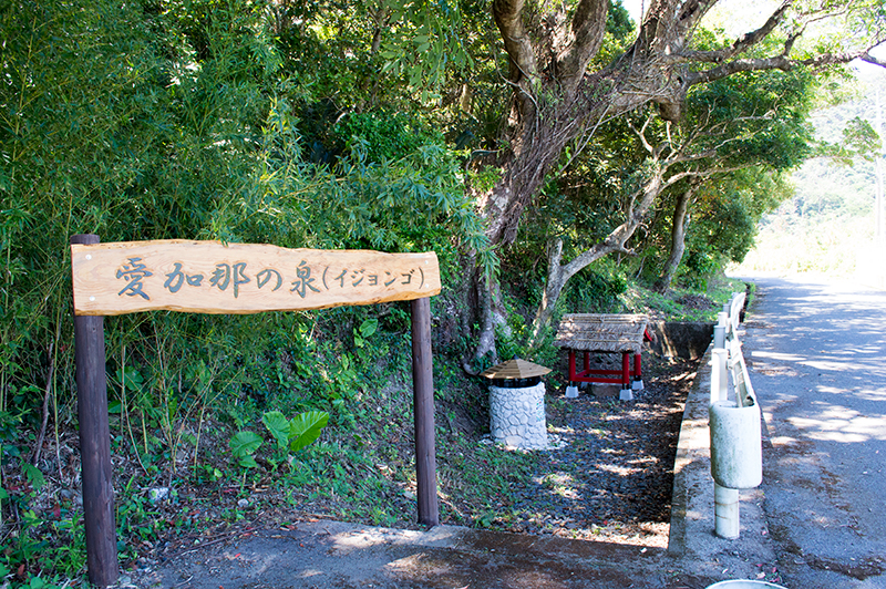 奄美の愛加那の泉ことイジョンゴ