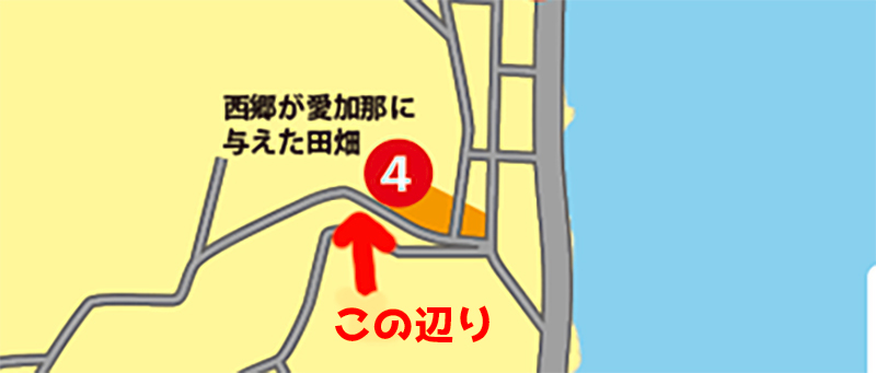 奄美の愛加那の泉ことイジョンゴの地図