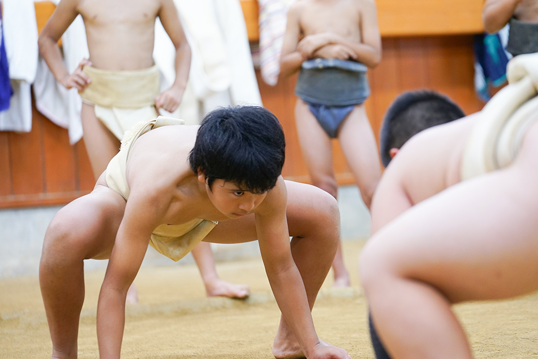住用相撲クラブ：子供たちの取組風景