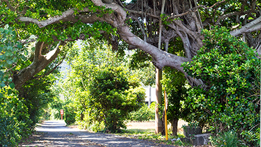 西郷隆盛ゆかりの地をめぐる奄美大島の旅Vol.4〜龍郷集落〜