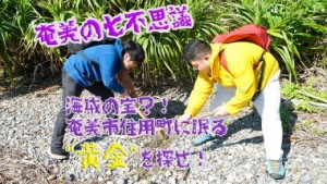 【奄美の七不思議その2】海賊の宝？！奄美市住用町に眠る”黄金”を探せ！