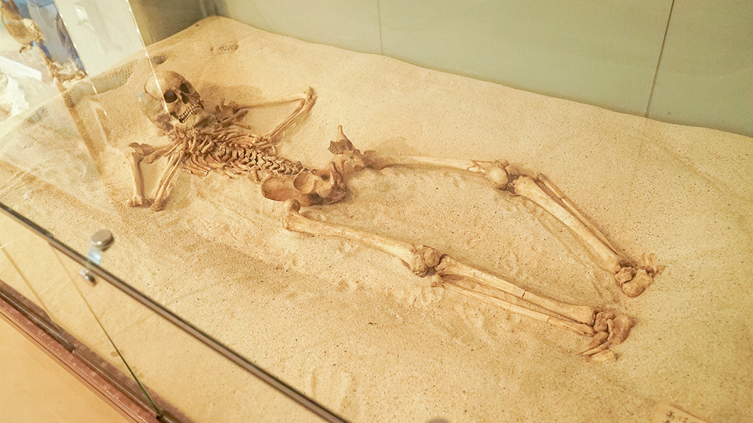 奄美大島の遺跡から発掘された人骨