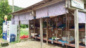 100円で最高の贅沢が手に入る場所「新鮮野菜が並ぶ湯湾釜の無人販売所」