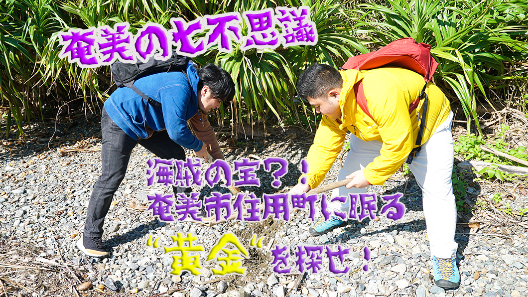奄美市住用町で宝探し