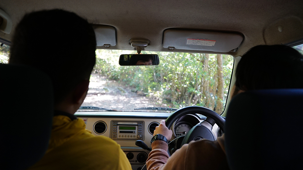 奄美市住用町の森の中をドライブ