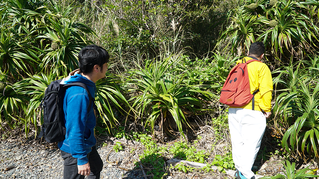 奄美市住用で山を登ろうとする男の人