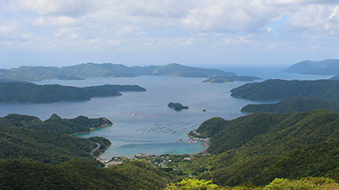 あなたも「ブラ奄美！」Vol.6｜独特な地形が生み出す自然の恵み