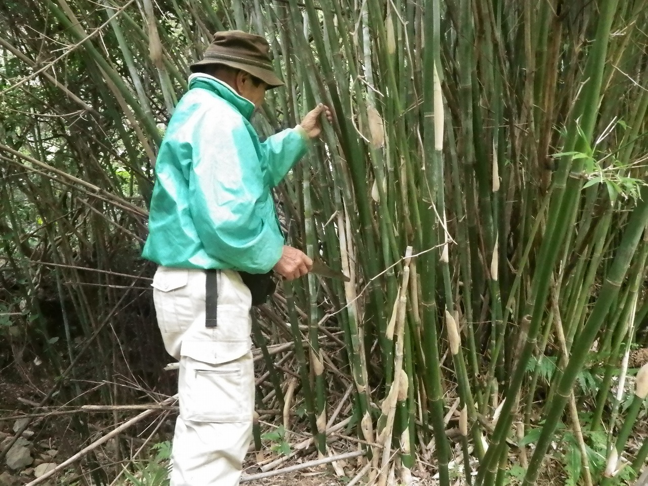 竹を選ぶ永田さん