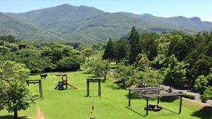 家族で楽しむ奄美旅に行きたいスポットまとめ