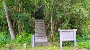 【奄美×歩け歩けのススメ】奄美群島をつなぐ自然歩道「奄美トレイル」を体験