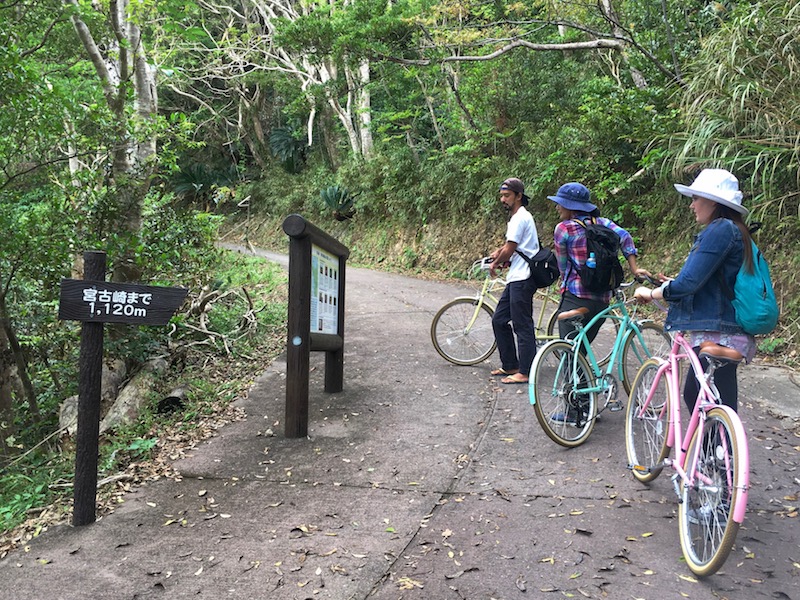 奄美宮古崎の自転車ツーリングの山道
