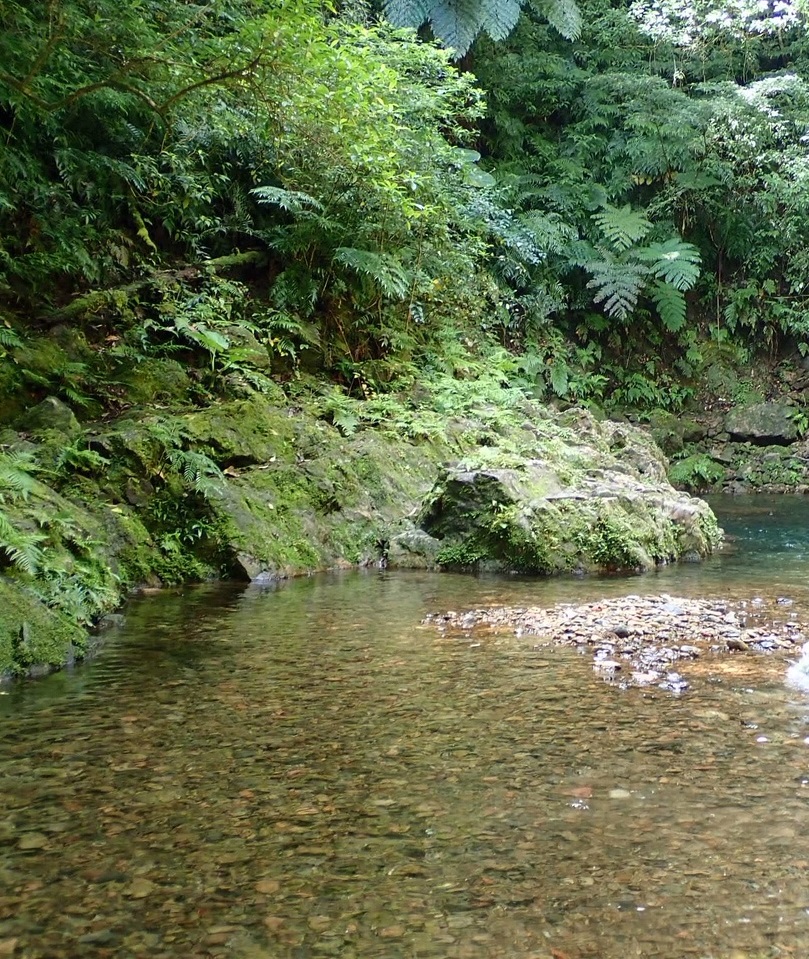 奄美大島の山河