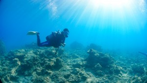 そうだ！奄美大島で体験ダイビングをしよう！！