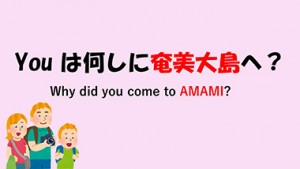 YOUは何しに奄美大島へ？Why did you come to AMAMI?