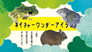 ネイチャーワンダーアイランド～vol.1｜なぜ奄美大島には希少野生生物が多く残っている？