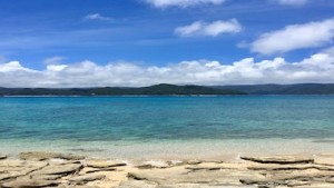 奄美の旅行に適した季節は？ 天気の専門家に聞いてみよう！