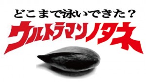奄美大島のマングローブからやってきた、”ウルトラマンの種”の謎を解明する！