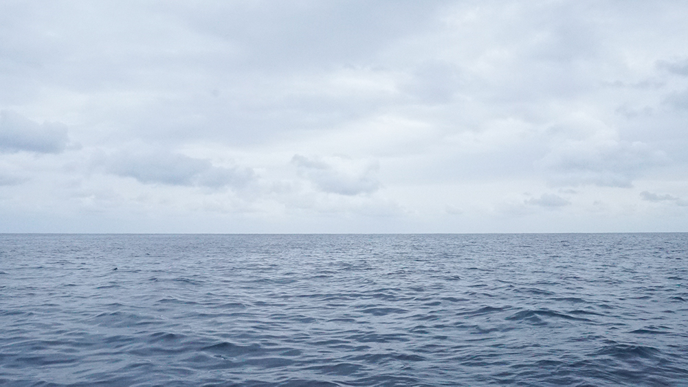 ホエールウォッチング中の奄美の海
