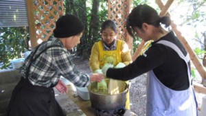 そうだ！奄美大島で福木（フクギ）染め体験をしよう！！