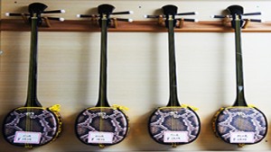 そうだ！奄美大島「島人の心」伝統芸能の三味線を弾いてみよう！！