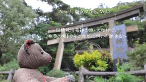 みっけ、歴女になる。Vol.2 ～黒糖栽培発祥の地・大和村で、奄美のサトウキビ栽培に想いを馳せる～
