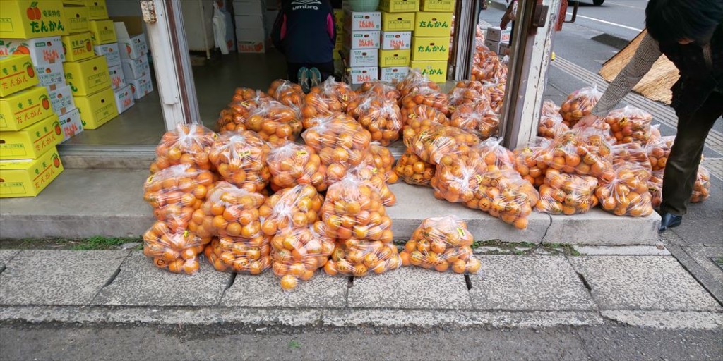 奄美大島の八百屋に並ぶ収穫されたタンカン