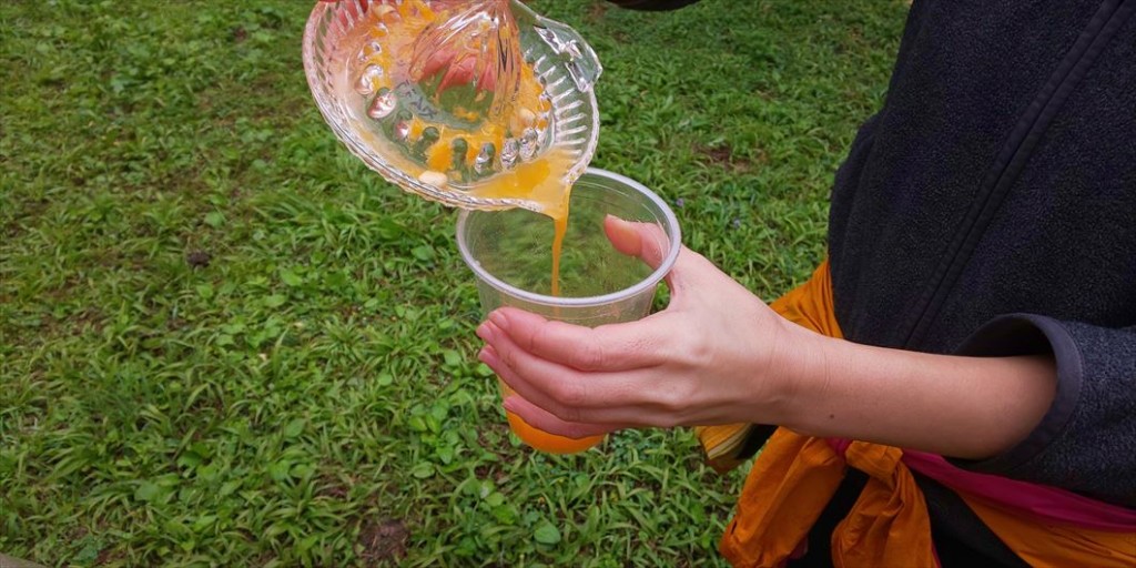 奄美大島のタンカンのしぼり汁
